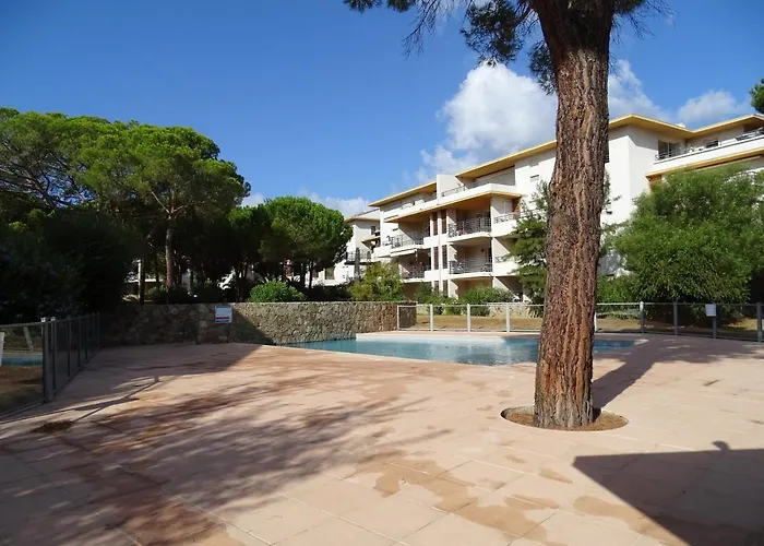 T2 Dans Avec Piscine Calvi (Corsica)